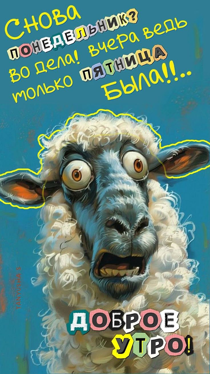 Снова понедельник? Во дела! Вчера ведь только Пятница была!!... ДОБРОЕ УТРО!