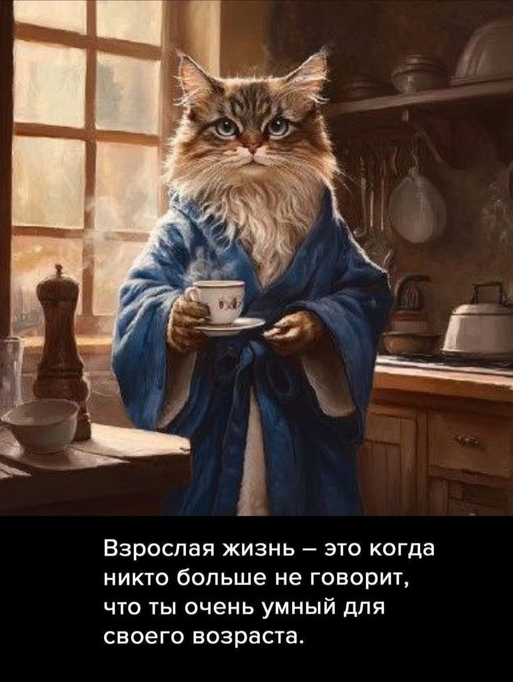 Взрослая жизнь — это когда никто больше не говорит, что ты очень умный для своего возраста.