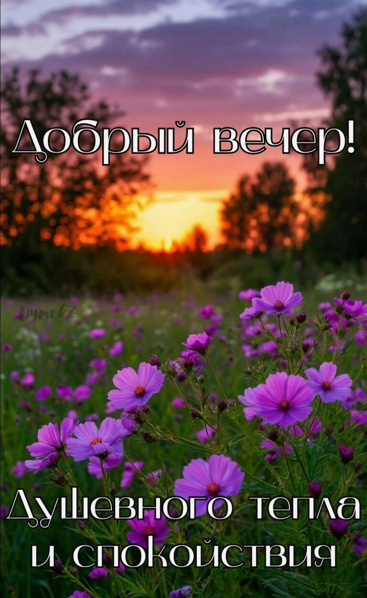 Добрый вечер! Душевного тепла и спокойствия
