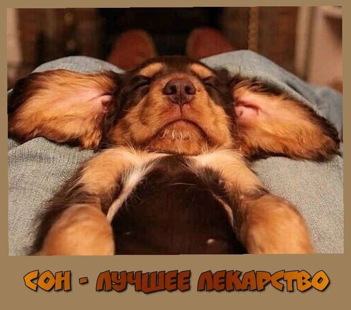 СОН - ЛУЧШЕЕ ЛЕКАРСТВО