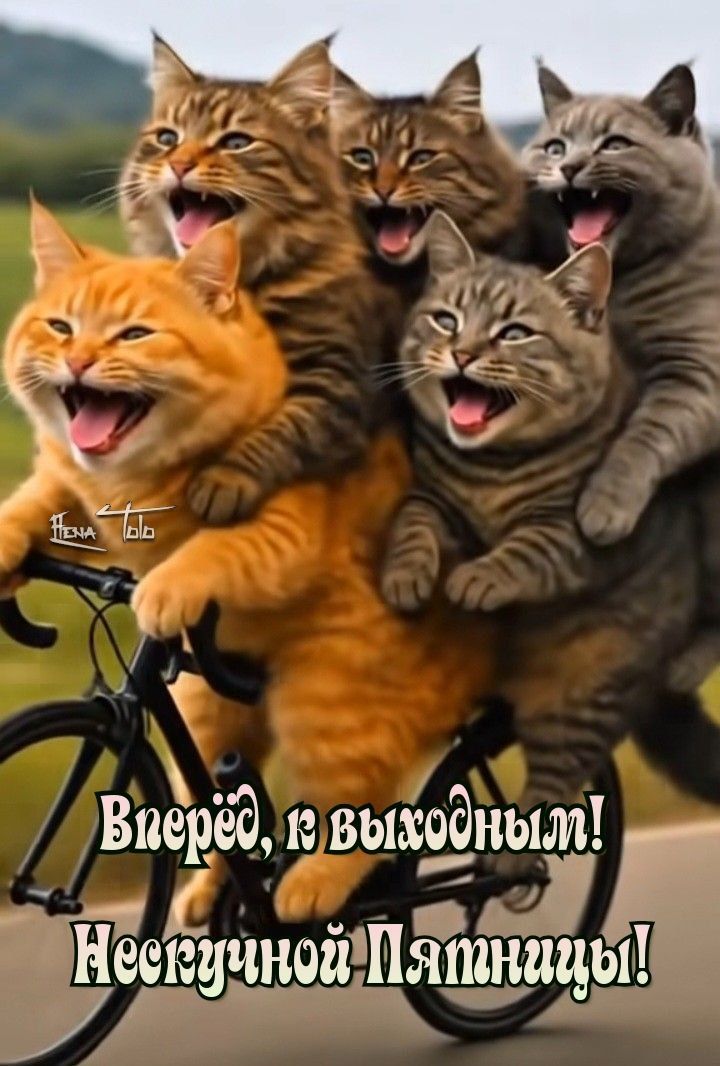 Вперёд, к выходным! Нескучной Пятницы!