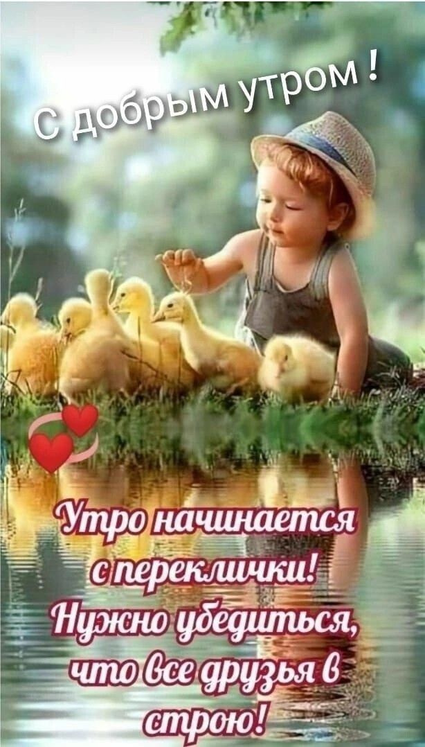 С добрым утром ! Утро начинается с переклички! Нужно убедиться, что все друзья в строю!