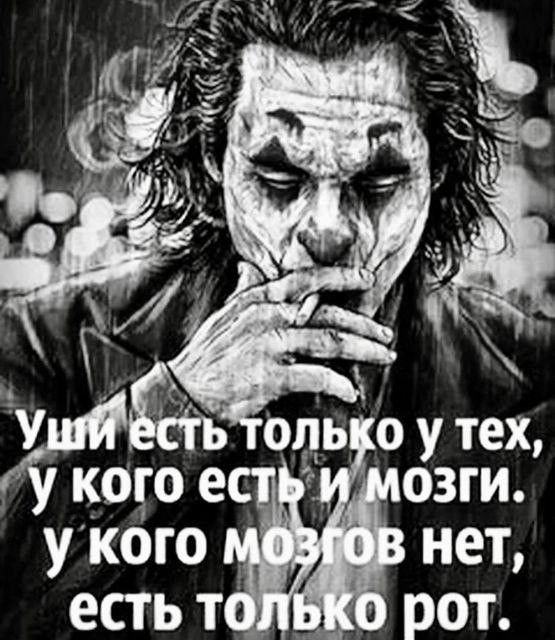 Уши есть только у тех, у кого есть и мозги. у кого мозгов нет, есть только рот.