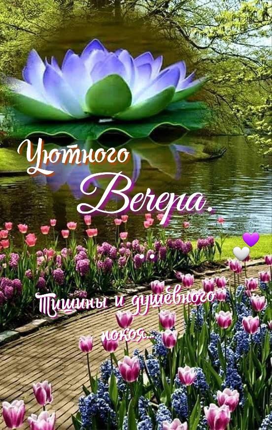 Уютного Вечера. Тишины и душевного покоя.