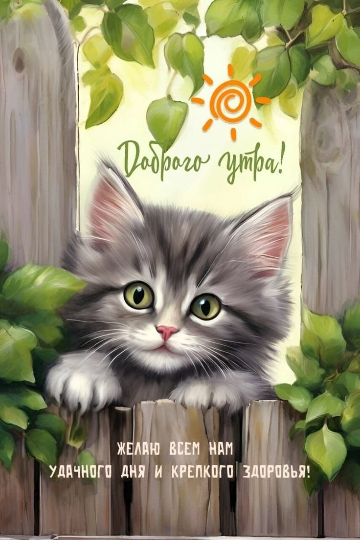 Доброе утро! Желаю всем нам удачного дня и крепкого здоровья!
