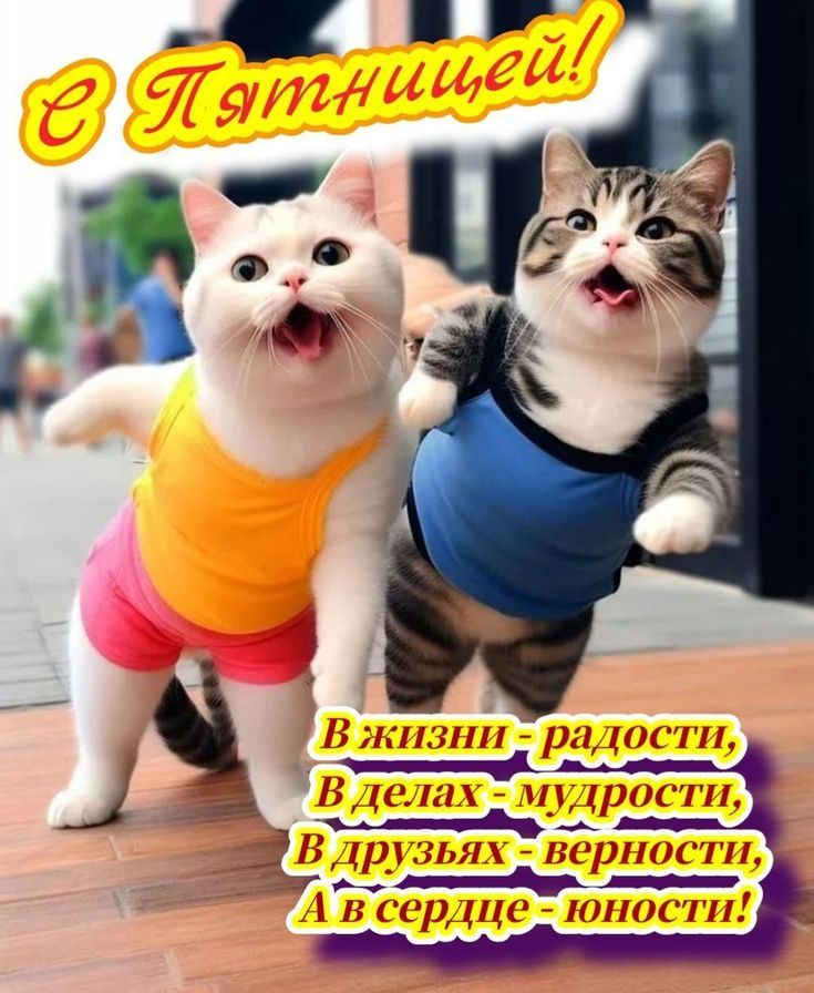 С Пятницей!
В жизни - радости,
В делах - мудрости,
В дружьях - верности,
А в сердце - юности!