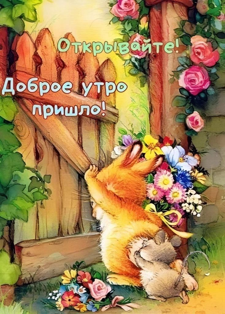 Открывайте! Доброе утро пришло!