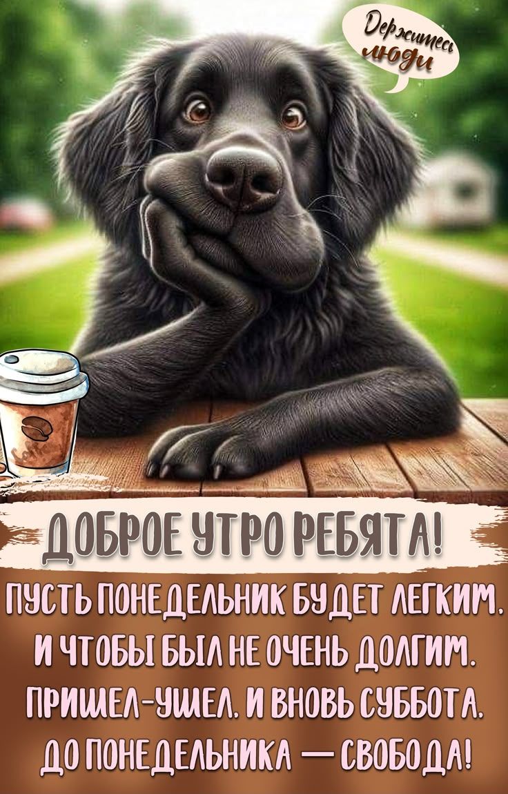 ДОБРОЕ УТРО РЕБЯТА! ПУСТЬ ПОНЕДЕЛЬНИК БУДЕТ ЛЕГКИМ. И ЧТОБЫ БЫЛ НЕ ОЧЕНЬ ДОЛГИМ. ПРИШЕЛ-УШЕЛ. И ВНОВЬ СУББОТА. ДО ПОНЕДЕЛЬНИКА — СВОБОДА!