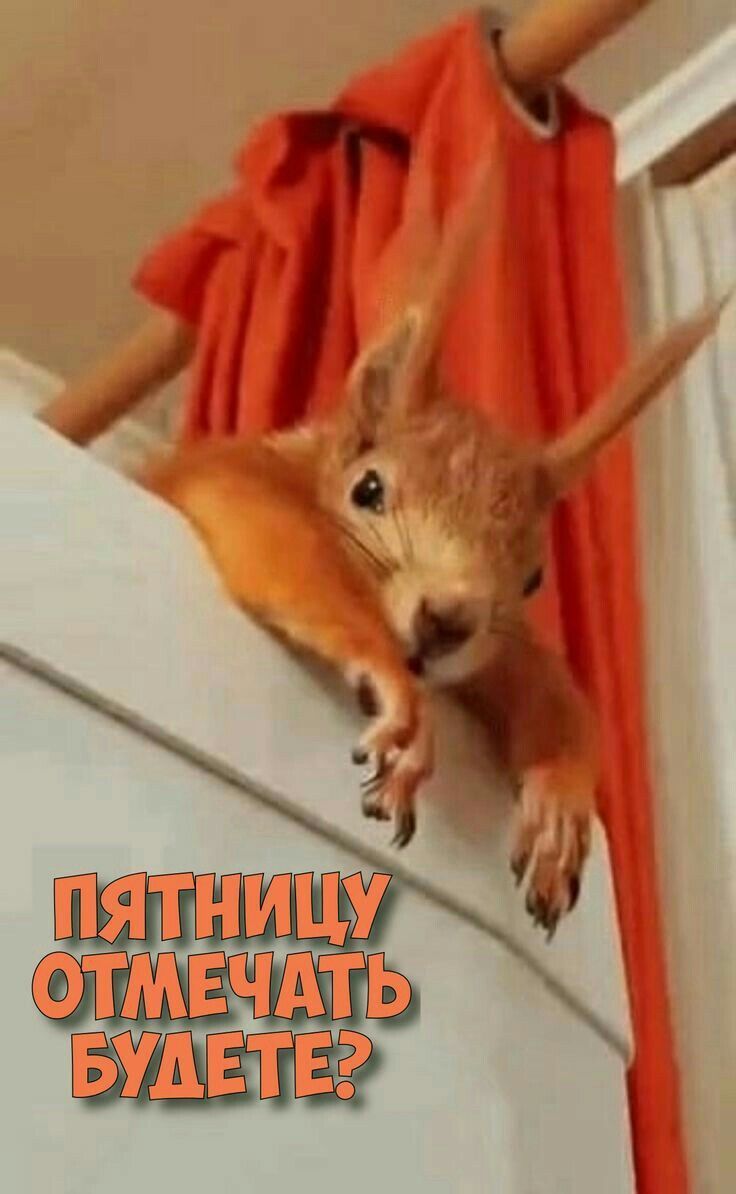 Пятницу отмечать будете?