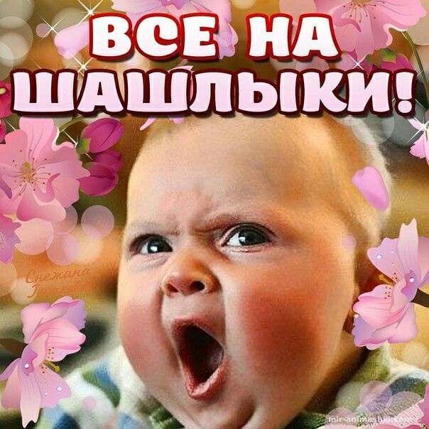 ВСЕ НА ШАШЛЫКИ!