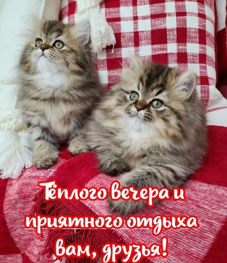 Тёплого вечера и приятного отдыха вам, друзья!