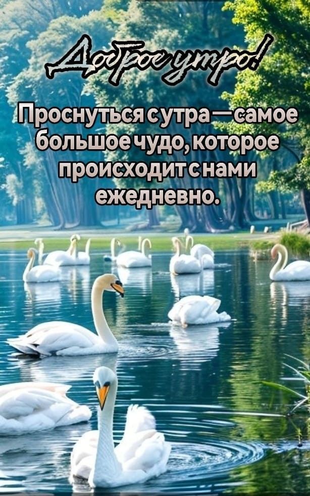 Доброе утро! Проснуться с утра — самое большое чудо, которое происходит с нами ежедневно.