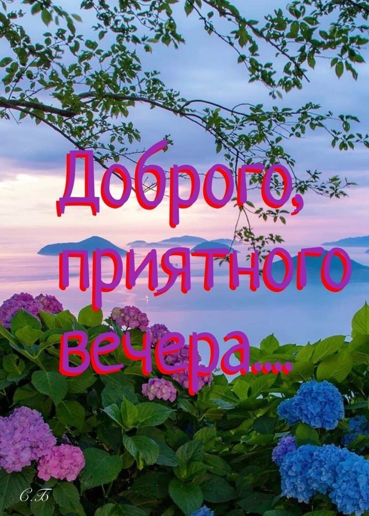 Добро го, приятного вечера....