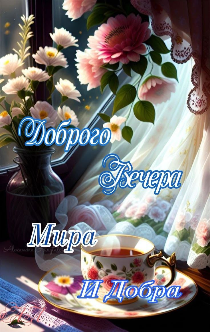 Добро го Вечера Мира И Добра