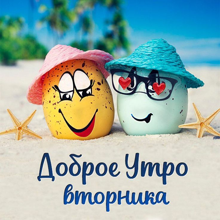 Доброе Утро вторника