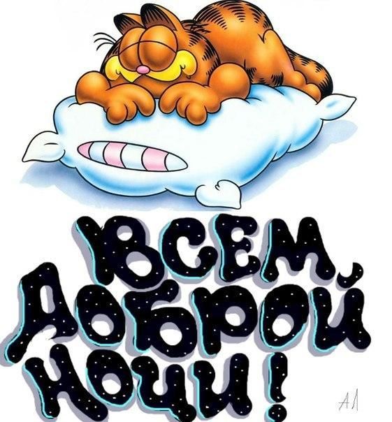ВСЕМ, ДОБРОЙ НОЧИ!