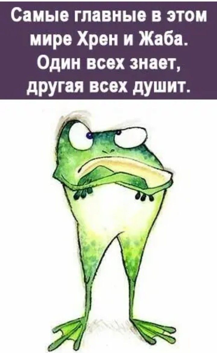 Самые главные в этом мире Хрен и Жаба. Один всех знает, другая всех душит.