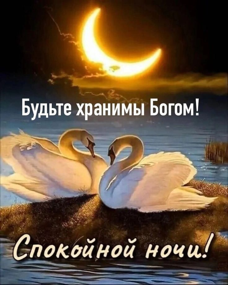 Будьте хранимы Богом! Спокойной ночи!