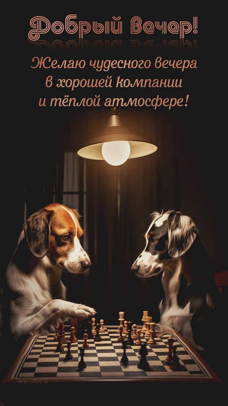 Добрый вечер! Желаю чудесного вечера в хорошей компании и тёплой атмосфере!