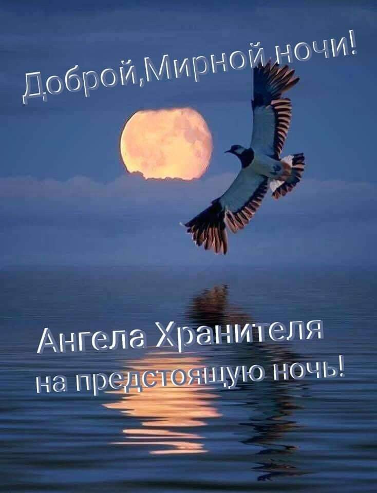 Доброй, Мирной ночи!
Ангела Хранителя на предстоящую ночь!