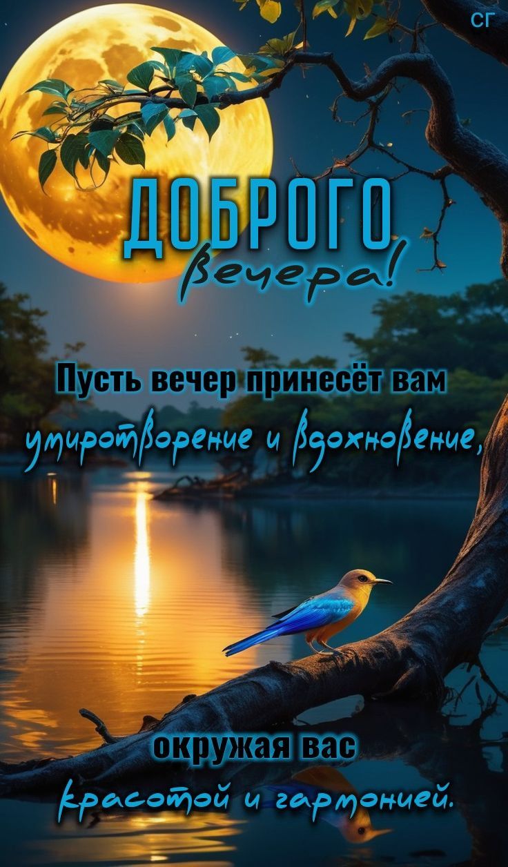 ДОБРОГО вечера!
Пусть вечер принесёт вам умиротворение и вдохновение, окружая вас красотой и гармонией.