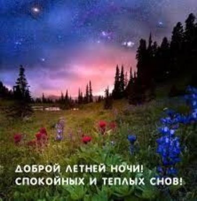 ДОБРОЙ ЛЕТНЕЙ НОЧИ! СПОКOINЫХ И ТЕПЛЫХ СНОВ!