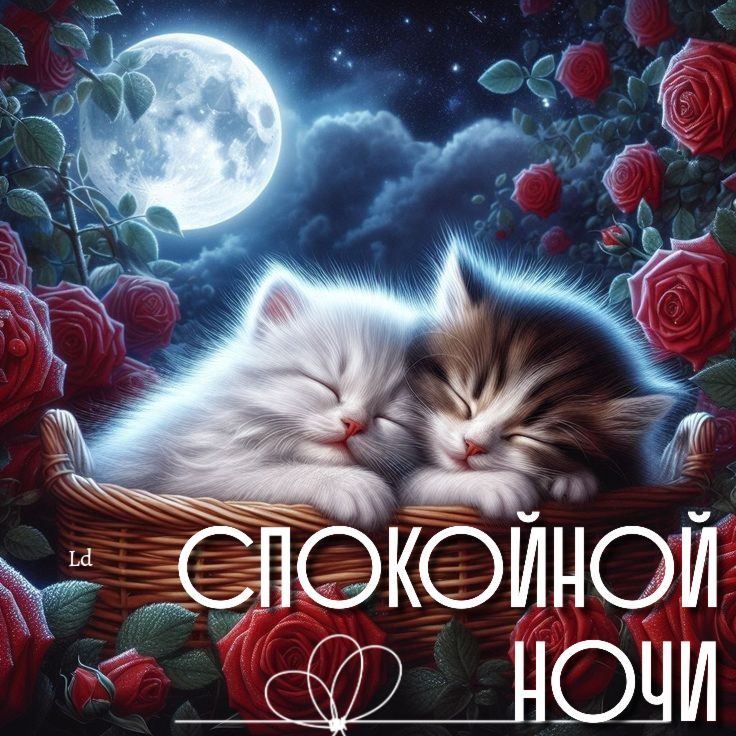 СПОКойнОЙ НОчи