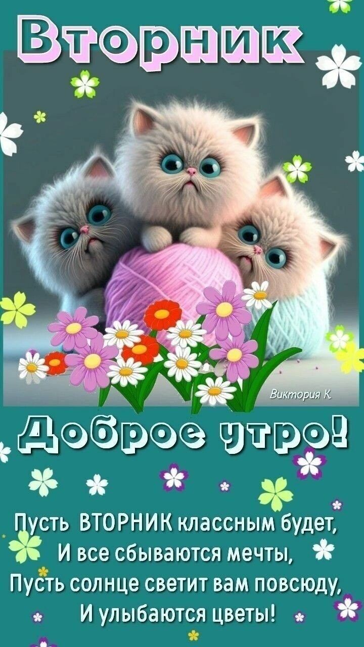 Вторник
Доброе утро!
Пусть ВТОРНИК классным будет,
И все сбиваются мечты,
Пусть солнце светит вам повсюду,
И улыбаются цветы!