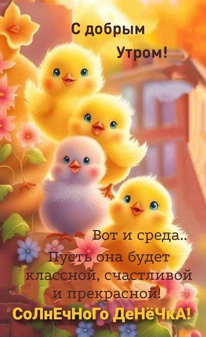 С добрым Утром! Вот и среда.. Пусть она будет классной, счастливой и прекрасной! СОЛНЕЧНОГО ДЕНЁЧКА!