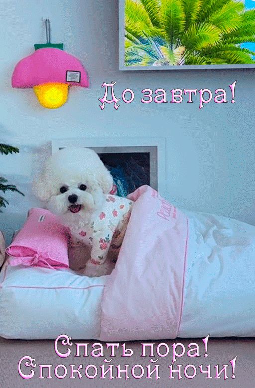 До завтра! Спать пора! Спокойной ночи!