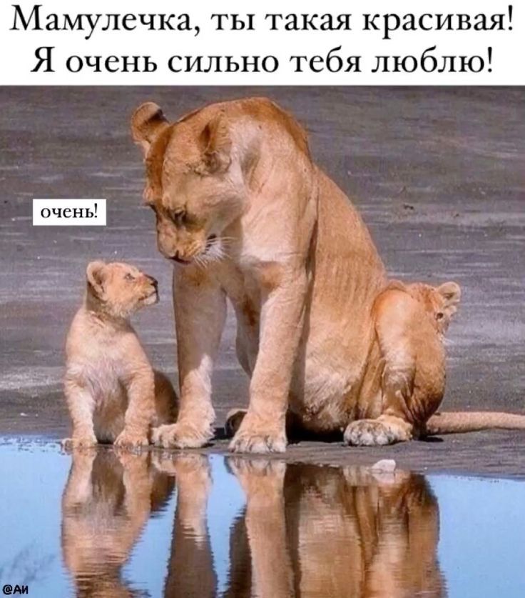 Мамuleчка, ты такая красивая! Я очень сильно тебя люблю! очень!