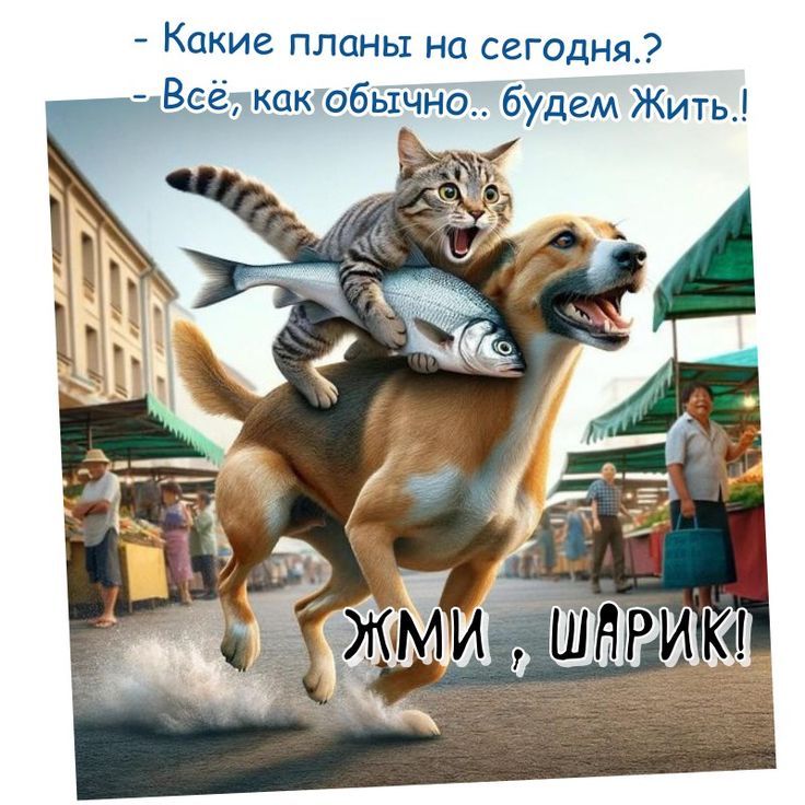 - Какие планы на сегодня.? 
- Всё, как обычно.. будем Жить.! 
ЖМИ, ШАРИК!