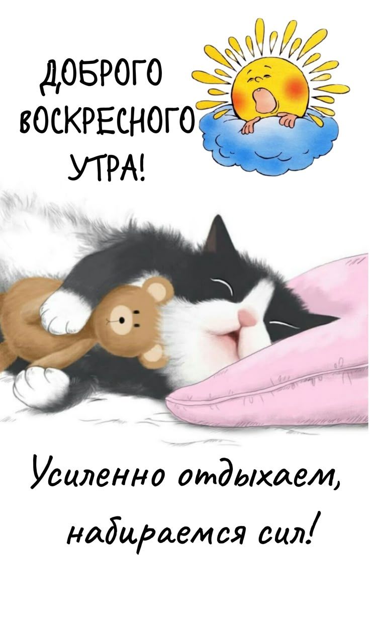 Доброго воскресного утра! Усиленно отдыхаем, набираемся сил!
