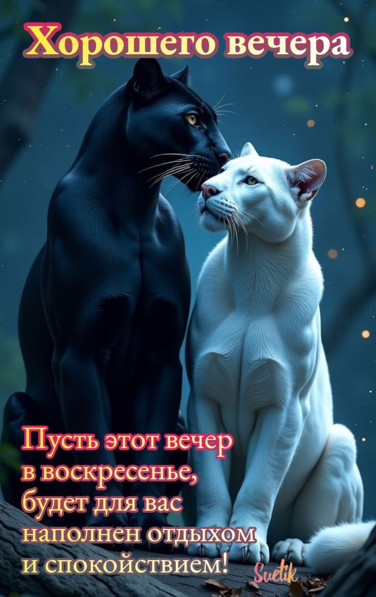 Хорошего вечера
Пусть этот вечер в воскресенье, будет для вас наполнен отдыхом и спокойствием!