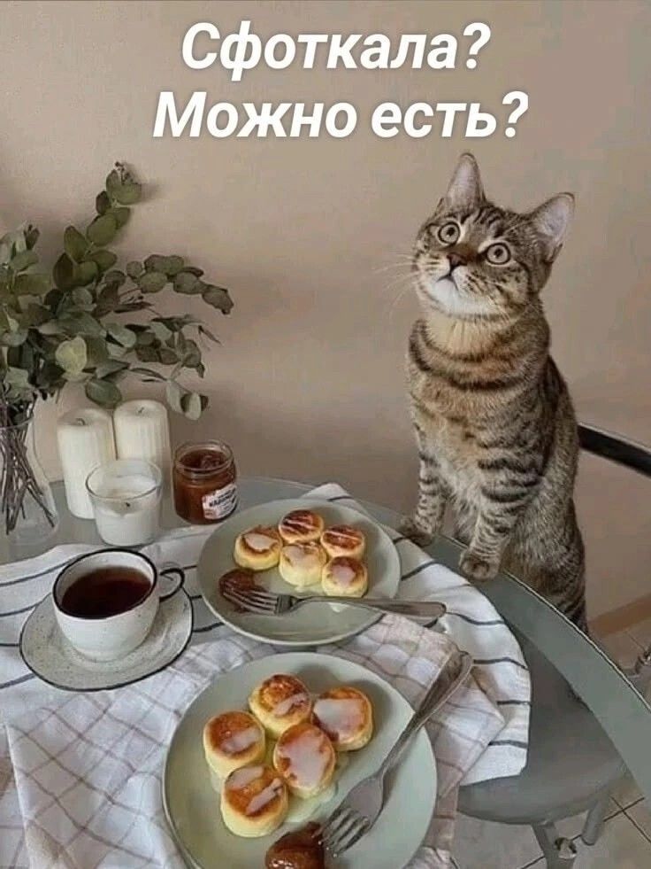 Сфоткала? Можно есть?