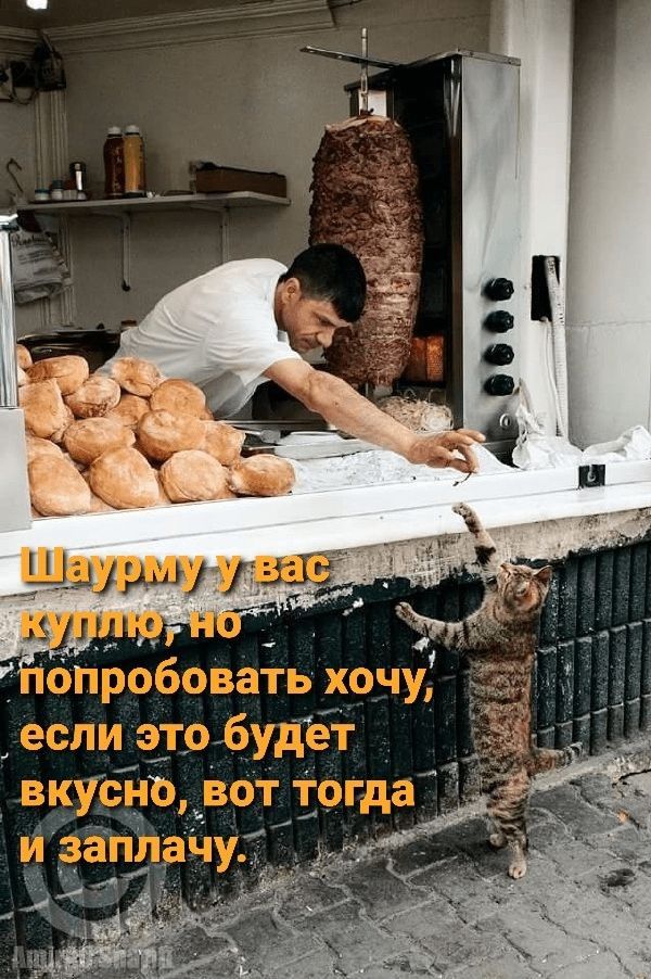 Шаурму у вас куплю, но попробовать хочу, если это будет вкусно, вот тогда и заплачу.