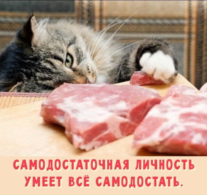 САМОДОСТАТОЧНАЯ ЛИЧНОСТЬ УМЕЕТ ВСЁ САМОДОСТАТЬ.