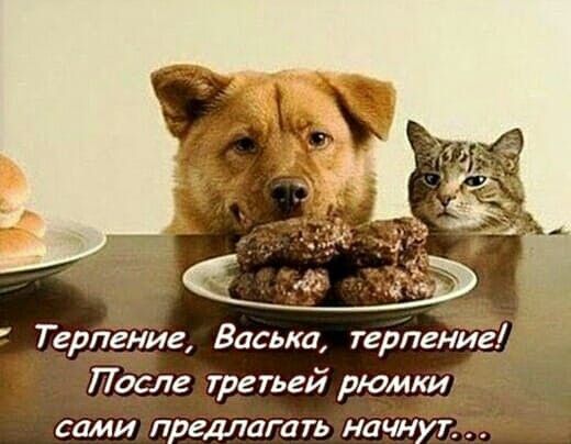 Терпение, Васька, терпение! После третьей рюмки сами предлагать начнут...
