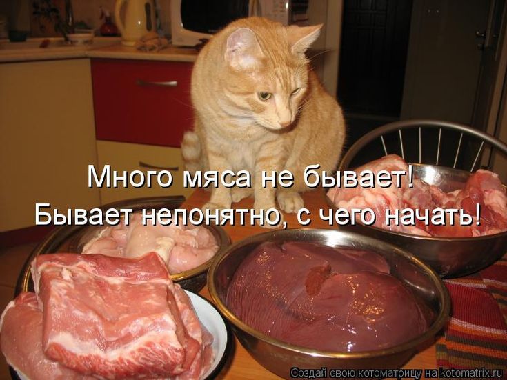 Много мяса не бывает! Бывает непонятно, с чего начать!