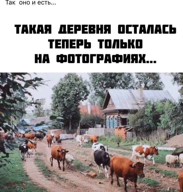 Так оно и есть... ТАКАЯ ДЕРЕВНЯ ОСТАЛАСЬ ТЕПЕРЬ ТОЛЬКО НА ФОТОГРАФИЯХ...