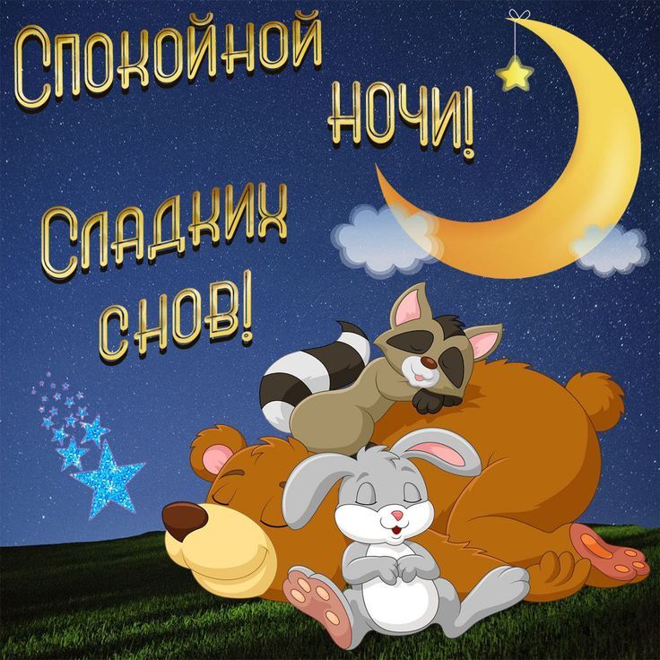 Спокойной ночи! Сладких снов!
