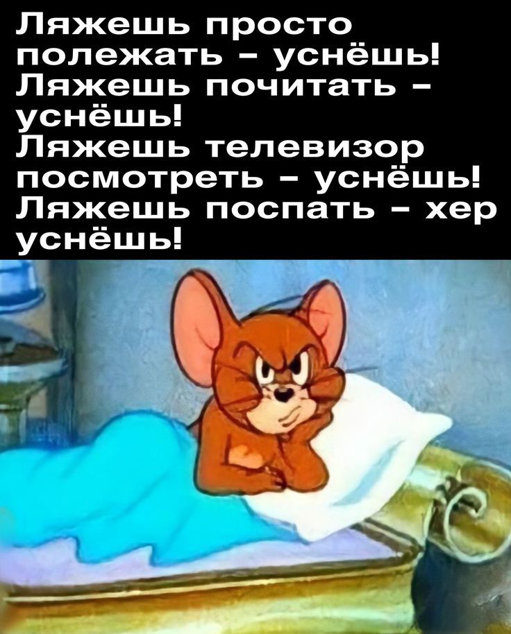 Ляжешь просто полежать – уснёшь! Ляжешь почитать – уснёшь! Ляжешь телевизор посмотреть – уснёшь! Ляжешь поспать – хер уснёшь!