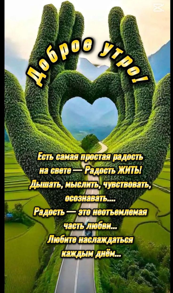 Доброе утро! Есть самая простая радость на свете — Радость ЖИТЬ! Дышать, мыслить, чувствовать, осознавать.... Радость — это неотъемлемая часть любви... Любите наслаждаться каждым днем...