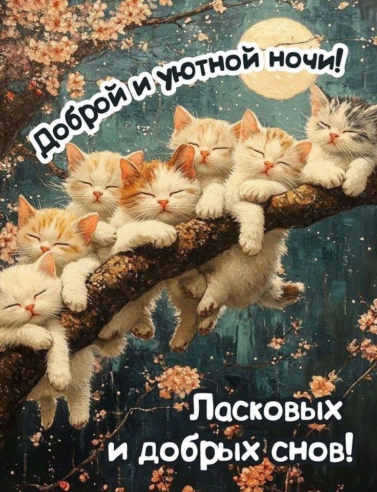 Доброй и уютной ночи! Ласковых и добрых снов!