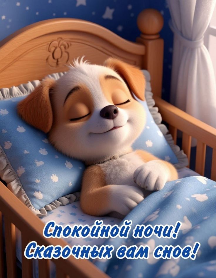 Спокойной ночи! Сказочных вам снов!