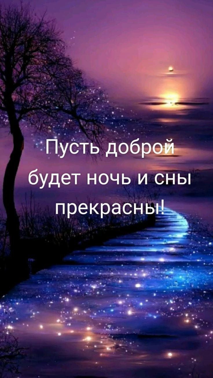 Пусть доброй будет ночь и сны прекрасны!