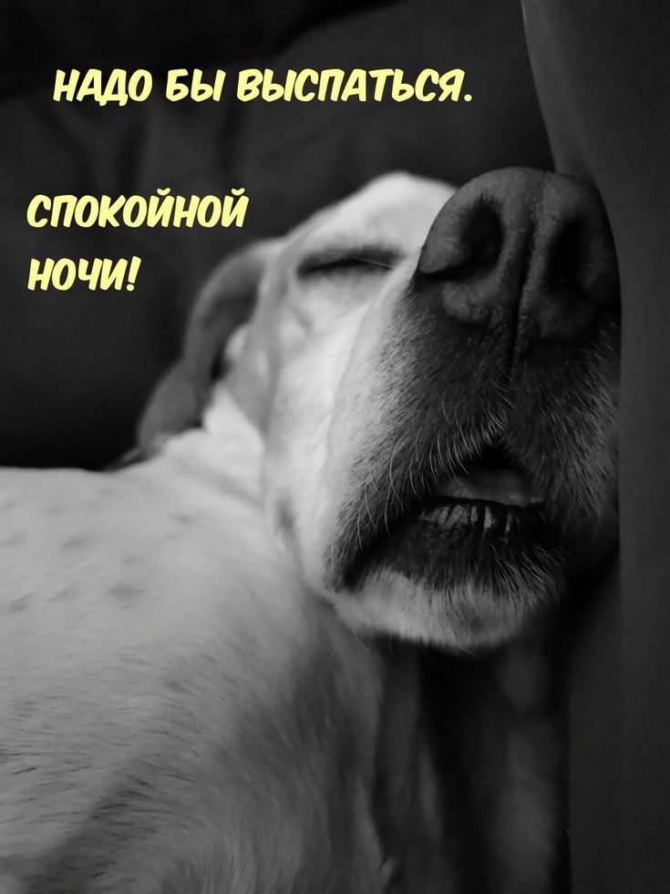НАДО БЫ ВЫСПАТЬСЯ. СПОКОЙНОЙ НОЧИ!