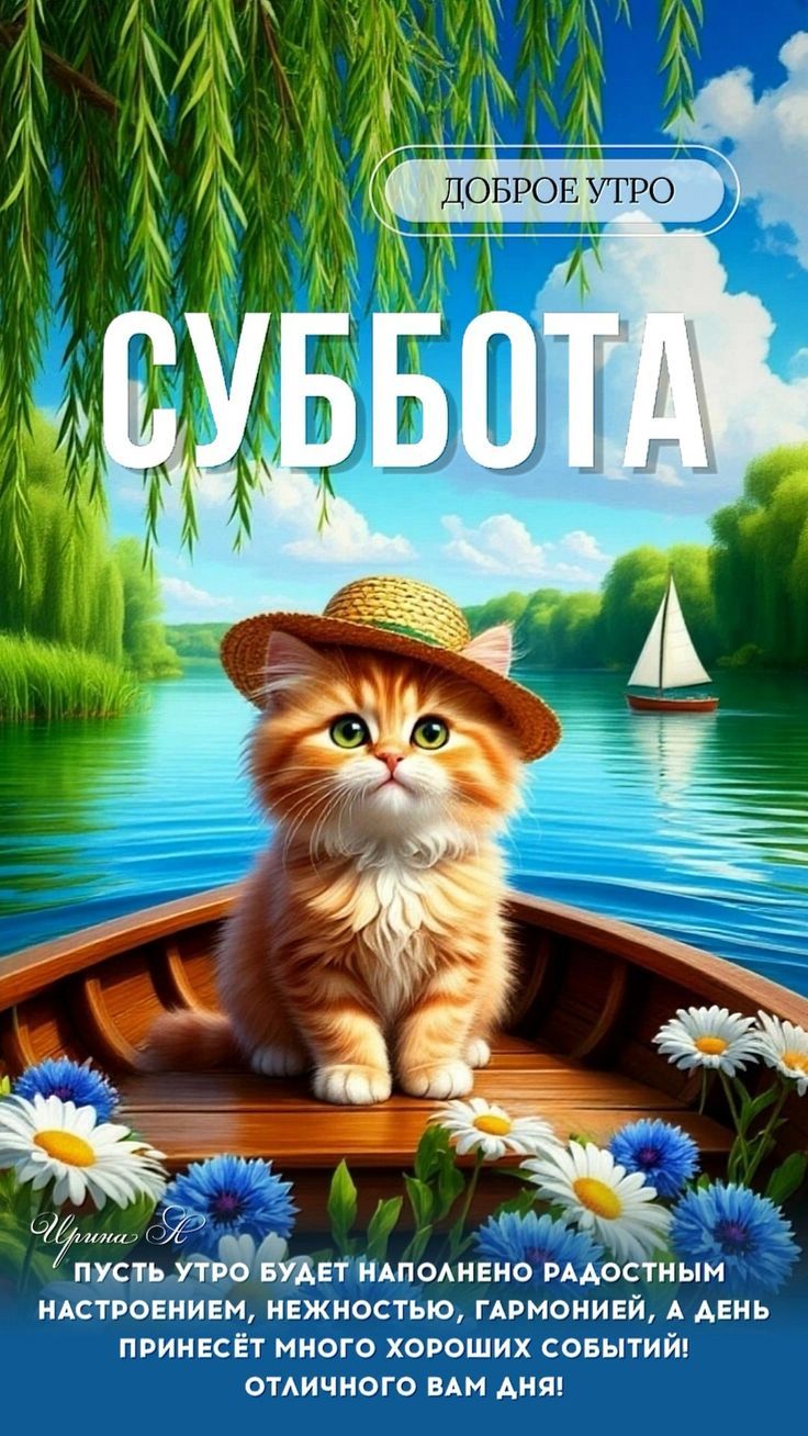 Доброе утро
СУББОТА
Пусть утро будет наполнено радостным настроением, нежностью, гармонией, а день принесёт много хороших событий! Отличного вам дня!