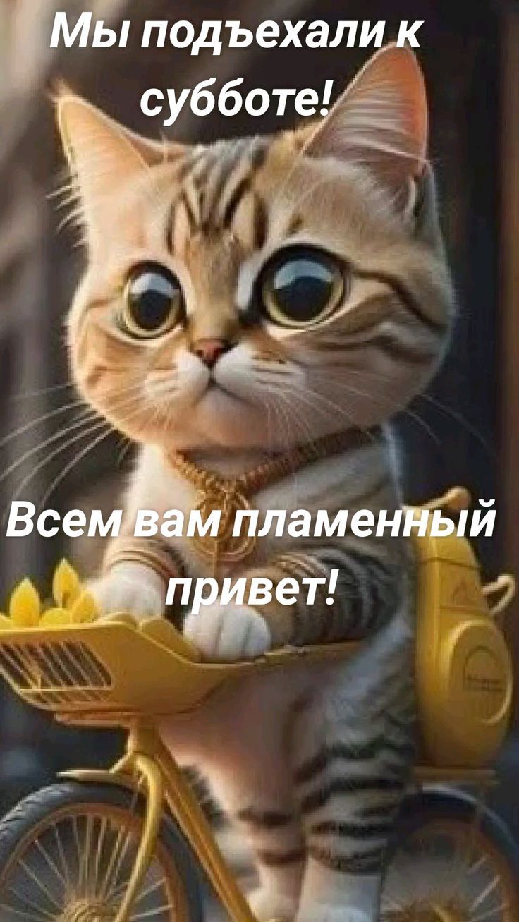 Мы подъехали к субботе! Всем вам пламенный привет!