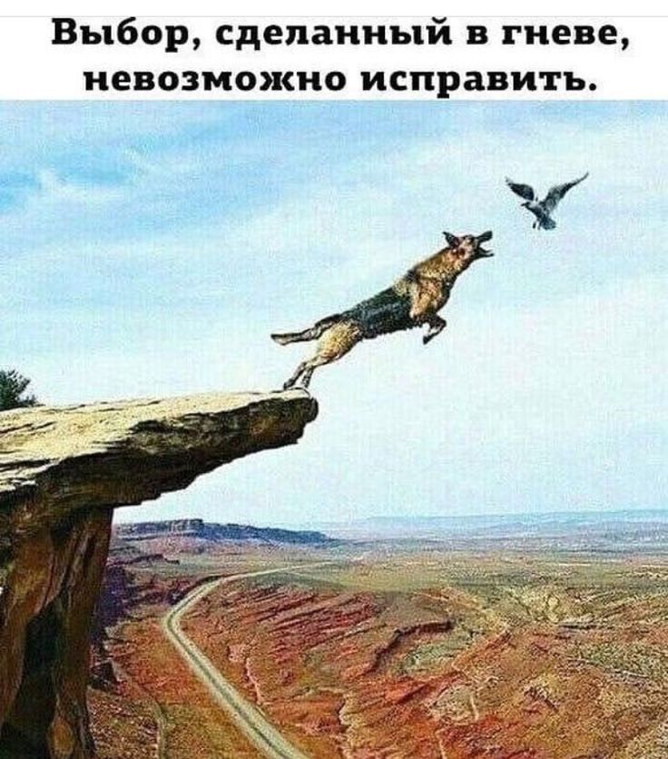 Выбор, сделанный в гневе, невозможно исправить.